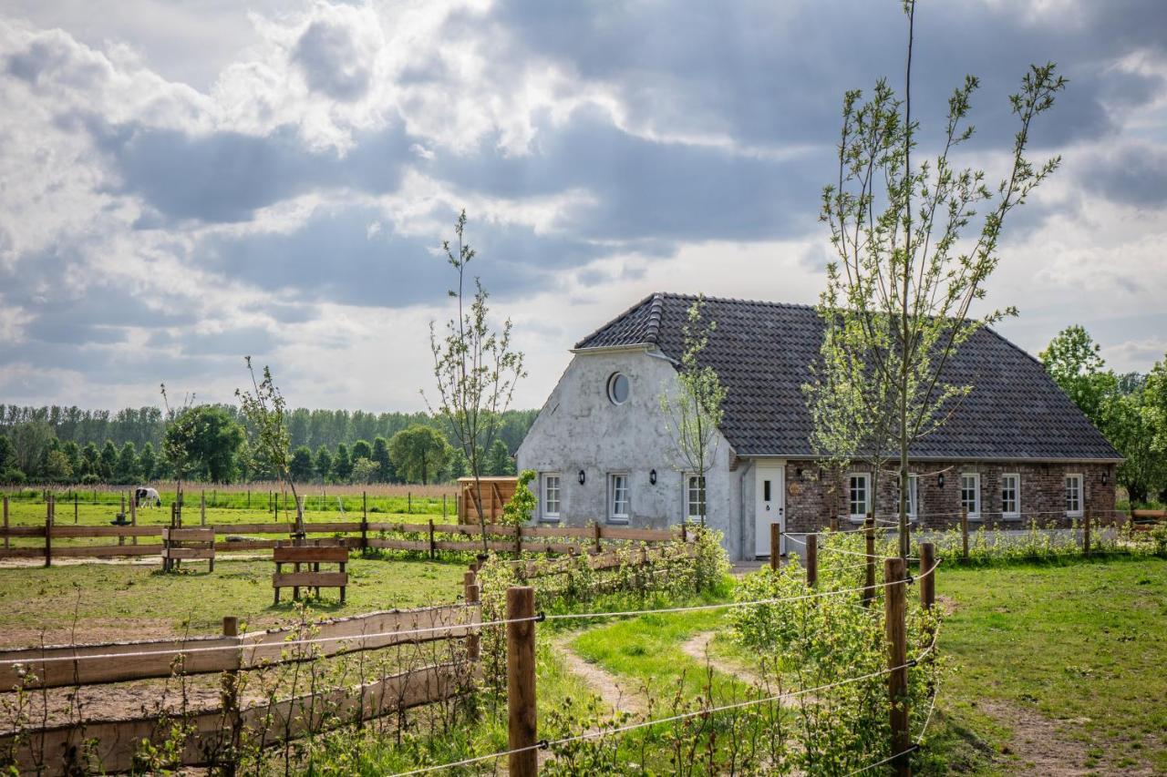 B&B Hoeve Klein Haneveld Sint-Oedenrode ภายนอก รูปภาพ